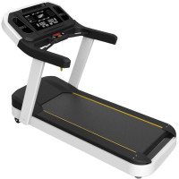 ราคา IMPULSE ลู่วิ่งไฟฟ้า รุ่น PT300 มอเตอร์ AC ขนาด 3.0 แรงม้า เทา วิ่งออกกำลังกาย (10937645)