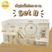 ราคา Hamster Box Thailand เซ็ตอุปกรณ์แฮมสเตอร์ ล้อจักรวิ่ง 18 ซม. (ไม่รวมกรงอะคริลิค) Set B (10969619)