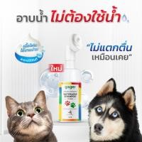 ราคา Gager (กาเจอร์) Nano Zinc โฟมอาบแห้งหมา โฟมอาบแห้งแมว ไม่ต้องใช้น้ำ กลิ่นแป้งเด็ก อ่อนโยน ป้องกันแบคทีเรีย (100ml.) 100ml. (10992361)