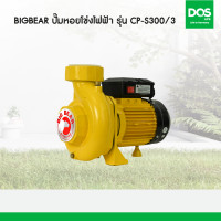 ราคา Big Bear ปั๊มหอยโข่งไฟฟ้า ใบพัดเดี่ยว รุ่น CP-S300/3 (10973276)