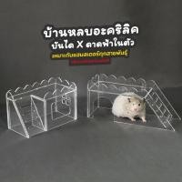 ราคา Hamster Box Thailand บ้านหลบแฮมสเตอร์ บ้านด้าดฟ้าพร้อมบันได Hamster บันไดข้าง 9x26x11 cm (10969493)