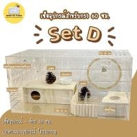 ราคา Hamster Box Thailand เซ็ตอุปกรณ์แฮมสเตอร์ ล้อจักรวิ่ง 18 ซม. (ไม่รวมกรงอะคริลิค) Set D (10969621)