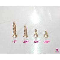 ราคา YOJI ONLINE สกรูปลายสว่าน หัวกลม เกลียวปล่อยปลายสว่าน ชุบรุ้ง สกรูยิงเหล็ก เกลียวปล่อยยิงเหล็ก น็อตยิงเหล็ก ยกกล่อง #8 x 2" (10958258)