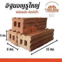 ราคา Toolbox Store อิฐมอญรู เล็ก ใหญ่ ปูพื้น ทำสวน ปลูกต้นไม้ แต่งสวน บ่อปลา รูใหญ่ 5*6*15 ซม. (11002289)