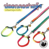 ราคา หางฟู Petshop ปลอกคอสายรุ้ง+สายจูง ปลอกคอสายรุ้ง สายจูงสัตว์เลี้ยง ปลอกคอสุนัข TIN1 ปลอกคอสายรุ้ง+สายจูง (11037447)
