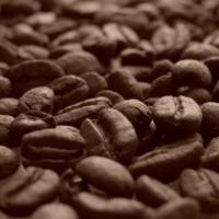 ราคา Kokorocoffee Royal Arabica 100% [Medium Roast] เมล็ดกาแฟ อราบิก้า คั่วกลาง ( 1kg.) ไม่บด Whole Bean (11067350)