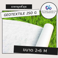 ราคา Geotextile แผ่นใยสังเคราห์ 250 g/sqm 2x6 (12007246)
