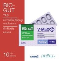 ราคา V-Max Bio-Gut TAB อาหารเสริมปรับสมดุลทางเดินอาหาร สำหรับสุนัขและแมว 20 g (12008274)