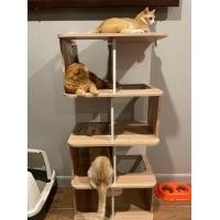 ราคา prospace คอนโดแมว บ้านแมว ชั้นแมวมินิมอล สินค้าใหม่ (12043644)