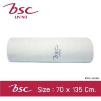 ราคา BSC TOWEL ผ้าขนหนู Zinc ยับยั้งเชื้อแบคทีเรีย ต้นเหตุการเกิดสิว [ ASE001 ] สีขาว (12004437)