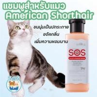 ราคา SOS Pet Shop แชมพูอาบน้ำแมว สำหรับ American Shorthair แชมพูแมว อ่อนโยน หอมนาน สำหรับ American Shorthair (12051896)