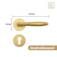 ราคา KAZA มือจับประตูก้านโยก รุ่น TSX912B พร้อมระบบมอร์ทิสล็อคระบบ 2 จังหวะ อุปกรณ์ครบชุด มือจับประตูบ้าน ทองด้าน (12058819)