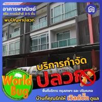 ราคา WorldBug บริการกำจัดปลวก อาคาร 3-5 ชั้น (12053602)