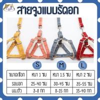 ราคา Puurpet สายจูง ที่รัดอก สำหรับหมา แมว dog cat leashes [สายจูง] ฟ้า,L(35-50ซม) (12108851)