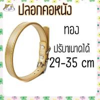 ราคา Puurpet ปลอกคอหนัง ปลอกคอสุนัข หมา ปลอกคอแมว leather collar for dog cat [หนังใหญ่] ทอง (12108871)