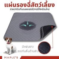 ราคา MAPLE'S (Valla) แผ่นรองฉี่สัตว์เลี้ยง ซักใช้ซ้ำได้ ผ้าซับฉี่ ผ้ารองฉี่หมา เเมว กระต่าย ผ้าอ้อมสุนัข ผ้าคลุมเบาะรถยนต์ แผ่นรอง 35*35 S (12158344)