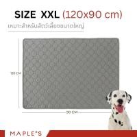 ราคา MAPLE'S (Valla) แผ่นรองฉี่สัตว์เลี้ยง ซักใช้ซ้ำได้ ผ้าซับฉี่ ผ้ารองฉี่หมา เเมว กระต่าย ผ้าอ้อมสุนัข ผ้าคลุมเบาะรถยนต์ แผ่นรอง 120*90 XXL (12158348)