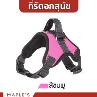 ราคา MAPLE'S สายจูงสุนัขยาว3เมตร เเละที่รัดอก สายจูงสปริงยืดหดได้ กระต่าย สุนัขใหญ่ เเมว Cat leash จูงหมา เชือกจูง ที่จูงเเมว ที่รัดอก-ชมพู S (12167297)