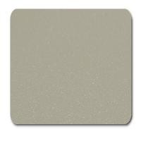 ราคา Makerpick สีฝุ่น สีผง สีพาวเดอร์โค้ท Powder coating ใช้กับเครื่องพ่นเท่านั้น เกรดแบรนด์นำเข้า Champagne (12183028)