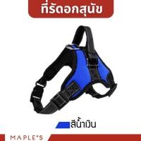 ราคา MAPLE'S สายจูงสุนัขยาว3เมตร เเละที่รัดอก สายจูงสปริงยืดหดได้ กระต่าย สุนัขใหญ่ เเมว Cat leash จูงหมา เชือกจูง ที่จูงเเมว ที่รัดอก-น้ำเงิน S (12167298)