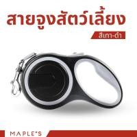 ราคา MAPLE'S สายจูงสุนัขยาว3เมตร เเละที่รัดอก สายจูงสปริงยืดหดได้ กระต่าย สุนัขใหญ่ เเมว Cat leash จูงหมา เชือกจูง ที่จูงเเมว สางจูง-เทา (12167296)
