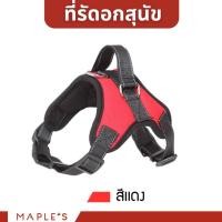 ราคา MAPLE'S สายจูงสุนัขยาว3เมตร เเละที่รัดอก สายจูงสปริงยืดหดได้ กระต่าย สุนัขใหญ่ เเมว Cat leash จูงหมา เชือกจูง ที่จูงเเมว ที่รัดอก-เเดง XL (12167305)