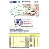 ราคา ถังแรงดันไดอะแฟรม หรือ Pressure Diaphtamgm Tank ยี่ห้อ app arwana ถังตั้ง DV-08 (12169368)