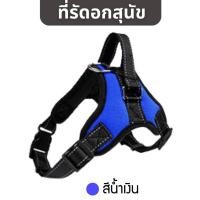 ราคา MAPLE'S สายจูงสุนัขยาว3เมตร เเละที่รัดอก สายจูงสปริงยืดหดได้ กระต่าย สุนัขใหญ่ เเมว Cat leash จูงหมา เชือกจูง ที่จูงเเมว ที่รัดอก-น้ำเงิน M (12167300)