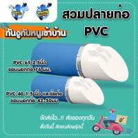 ราคา ํYoungPing ฝาครอบท่อกันงูเข้าบ้าน รุ่น PVC ท่อน้ำทิ้งแบบนอน ขนาด A (12213969)