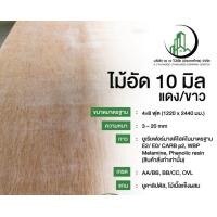 ราคา ไม้อัดยาง หนา 10 mm แดง/ขาว ไม้อัดยาง (12207911)