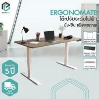 ราคา ERGONOMATE โต๊ะปรับระดับเพื่อสุขภาพ โต๊ะทำงาน ปรับอัตโนมัติด้วยระบบไฟฟ้า โต๊ะทำงาน โต๊ะทำงานปรับระดับ 160cm โอ๊ค (Oak) (12255434)