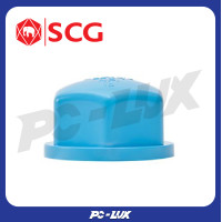ราคา SCG ฝาครอบเกลียวในหนา ขนาด 1/2 , 2 นิ้ว สีฟ้า 1/2 นิ้ว (12250521)