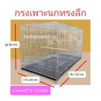 ราคา Nidnippetshop กรงเพาะนกทรงลึก(1.20เมตร)กรงเพาะไซค์บิ๊กเบิ้ม กรงเพาะนกซันคอนัวร์ ค็อกคาเทล กรีนชิค แอฟริกันเกรย์ กรงเพาะทรงลึก ลวด14 (12199393)