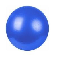 ราคา ลูกบอลโยคะ สีน้ำเงิน ขนาด 65 ซม. บอลโยคะ fitball (12259455)