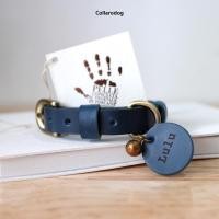 ราคา Collarodog ปลอกคอสุนัข แมว หนังแท้อิตาลี สลักชื่อ Italian leather รุ่นหัวเข็มขัด Standard Xs บลู (12283848)