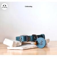 ราคา Collarodog ปลอกคอสุนัข ปลอกคอแมว หนังแท้ สลักชื่อ รุ่นหัวเข็มขัด Standard L 15.5-24 นิ้ว บลู (12283972)