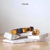 ราคา Collarodog ปลอกคอแมวนิรภัย หนังวัวแท้ สลักชื่อ สลักเบอร์โทร เหลืองเลม่อน Xs (12283946)