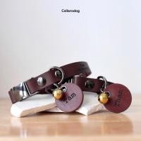 ราคา Collarodog ปลอกคอสุนัข ปลอกคอแมว หนังแท้สลักชื่อ รุ่นหัวล็อค Rocky น้ำตาลเข้ม XL 17-30นิ้ว (12284010)