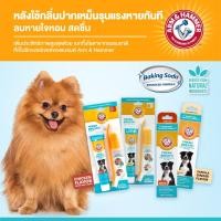 ราคา Arm and Hammer ยาสีฟันสุนัข สเปรย์ ฟันขาว สะอาด กลิ่นปากเหม็นหายทันที หมาปากเหม็น หมามีหินปูน สูตร1 กำจัดกลิ่นปาก,ยาสีฟัน วานิลาขิง (12273293)