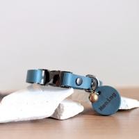 ราคา Collarodog ปลอกคอสุนัข ปลอกคอแมว หนังแท้สลักชื่อ รุ่นหัวล็อค Rocky L 15.5-24นิ้ว บลู (12284001)