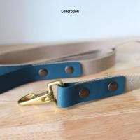 ราคา Collarodog สายจูงสุนัขใหญ่ หนังวัวแท้พรีเมียม 2.5ซม.ตัวคล้องทองเหลือง ผ้ากรม 1.5 เมตร บลู (12284075)