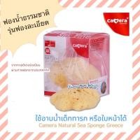 ราคา Pump Nom Happy CAMERA ฟองน้ำธรรมชาติ รุ่นเนื้อละเอียด ประเทศกรีก เหมาะสำหรับเด็กแรกเกิดขึ้นไป อาบน้ำ ฟองน้ำ กลาง (#15) (12300841)