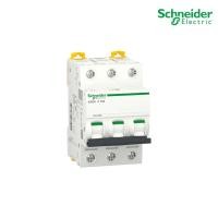 ราคา schneider electric miniature circuit-breaker, acti9 ic60h 15ka, 400vac, 3p, 10a - a9f84310 สั่งซื้อที่้ร้าน plugon (12292695)