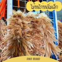 ราคา nclproduct.official ไม้ขนไก่ ขนนิ่ม Size s ไม้ขนไก่ขนนิ่มเล็ก New (12346658)