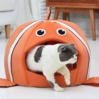 ราคา PB Pet Home ที่นอนแมว ที่นอนหมา บ้านแมว โดมแมว รุ่นโดมปลานีโม ส้ม size L (12318350)
