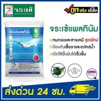 ราคา กาวยาแนว จระเข้ แพลทินัม สระว่ายน้ำ ยาแนวสระว่ายน้ำ (สีขาว) 1 กก. กาวยาแนวจระเข้ ยาแนวสระว่ายน้ำ (12393753)