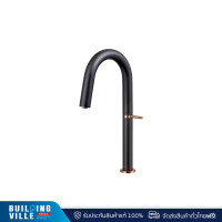 ราคา mex ก๊อกผสมน้ำร้อน-น้ำเย็น mex รุ่น 1905s-f166b (12406767)