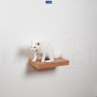 ราคา FASTTECT บันไดแมว ติดผนัง มินิมอล ลาเต้ 24x40 ซม. (12429005)