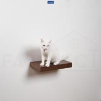 ราคา FASTTECT บันไดแมว ติดผนัง มินิมอล 24x40 ซม. โอ๊ค (12429006)