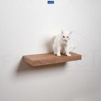 ราคา FASTTECT บันไดแมว ติดผนัง มินิมอล บีชเข้ม 24x60 ซม. (12429014)